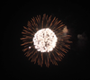 6" display shell chry. to 3 crackling, 6 inch display shells for all festivals,professional shells fireworks for sale