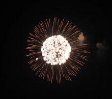 6" display shell chry. to 3 crackling, 6 inch display shells for all festivals,professional shells fireworks for sale