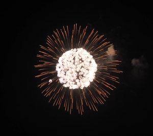 6" display shell chry. to 3 crackling, 6 inch display shells for all festivals,professional shells fireworks for sale