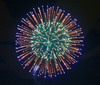6” Display Shell (specialty Shell) Blue Chrys. To Red To Silver W/green Pistil W/tail