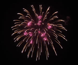 6" Display shell brocade crown to purple small flower, 6 inch display shells for all festivals,professional shells fireworks for sale