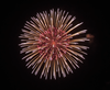 8" Display Shell Brocade Crown with Red Pistil