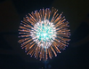 6" Display Shell (specialty Shell) Blue To White Strobe Octopus Pistil W/tail And Small Flower Balls