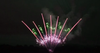 VGF-PF-001_1.2" 130 Shots Fan Shape Cake