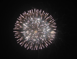 6'' Display Shell Twitter Glitter with White Strobe Pistil