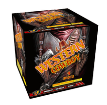 VG19017 Western Cowboy 9 Shots Cake