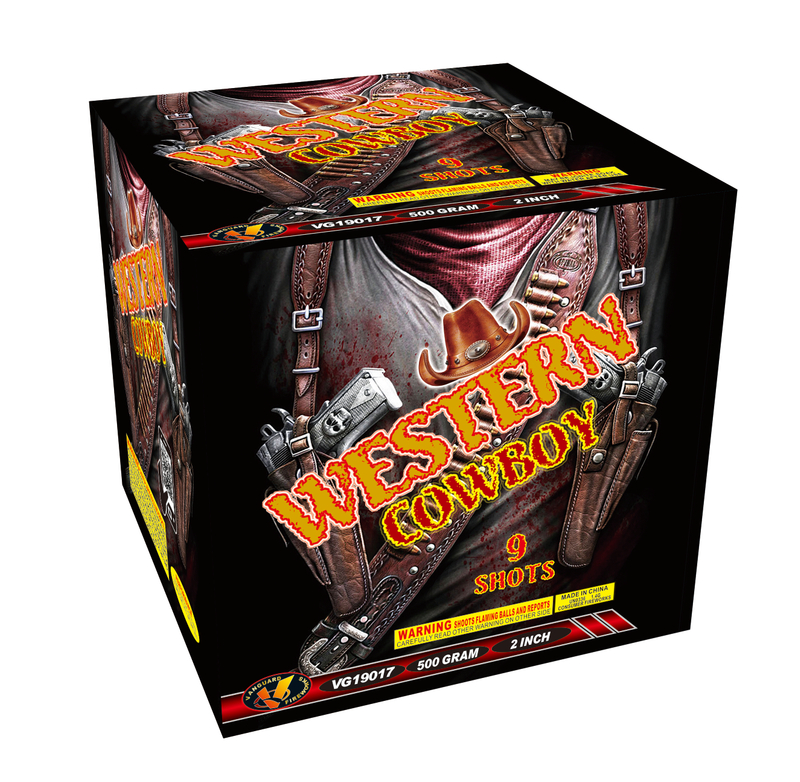 VG19017 Western Cowboy 9 Shots Cake