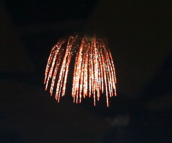 5“display Shell (specialty Shell) Flower Crown Willow Waterfall with Tail