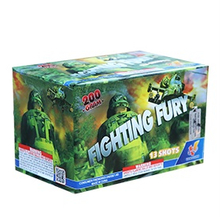 VG2002C Fighting Fury