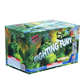 VG2002C Fighting Fury