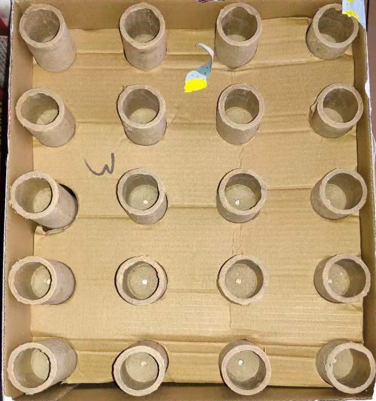 VGN202103 WE ARE CHAMPION 20 Shots Rectangle Cake