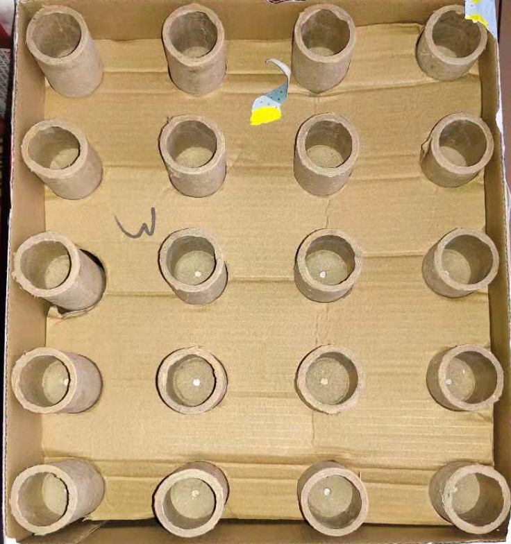 VGN202103 WE ARE CHAMPION 20 Shots Rectangle Cake