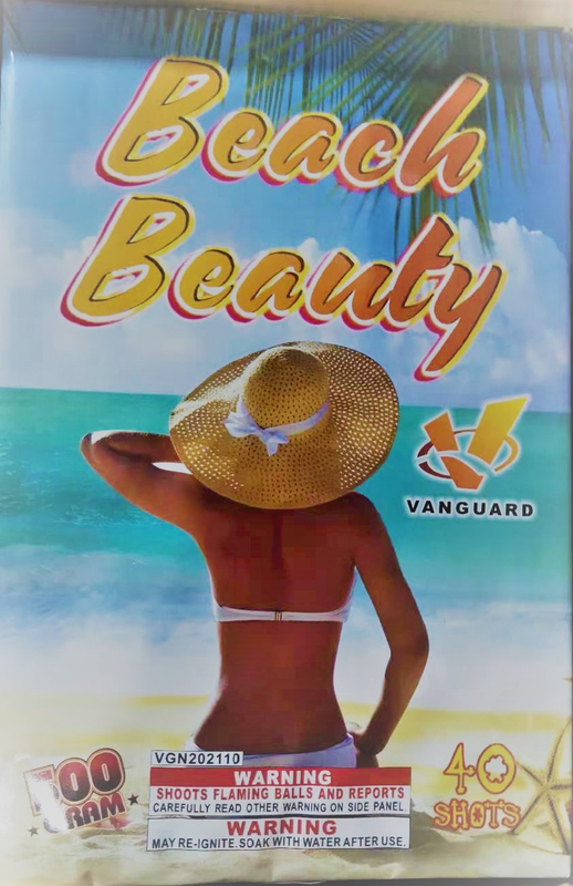VGN202110 Beach Beauty 40 Shots Rectangle Shape Cake