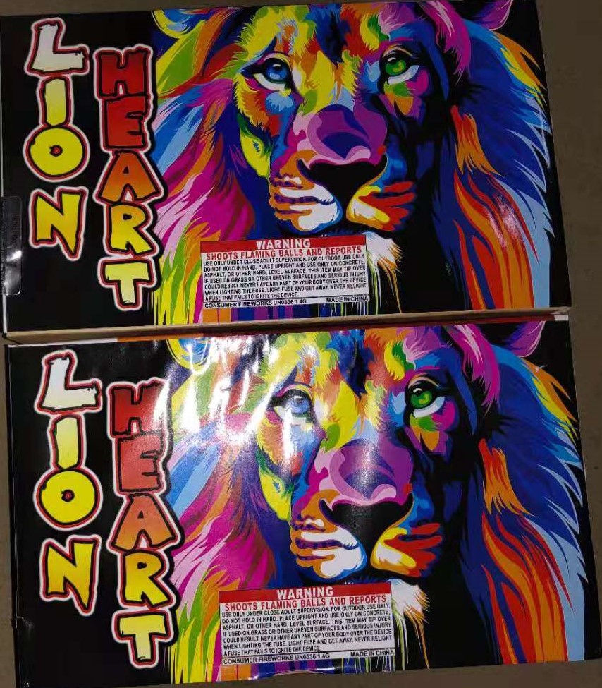 VGN202111 Lion Heart 35 Shots Rectangle Shape Cake