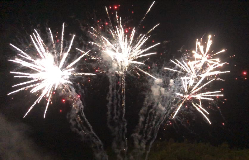 VGF-PF-042_1.2" 100 Shots W Shape Cake