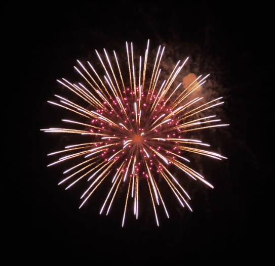6" Display Shell Brocade Crown with Red Pistil, 6 Inch Display Shells for All Festivals,professional Shells Fireworks for Sale