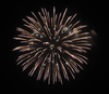 6" Display Shell Brocade Crown To Red with White Strobe Pistil, 6 Inch Display Shells for All Festivals,professional Shells Fireworks for Sale