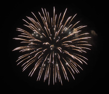 6" Display Shell Brocade Crown To Red with White Strobe Pistil, 6 Inch Display Shells for All Festivals,professional Shells Fireworks for Sale