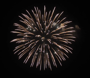 6" Display Shell Brocade Crown To Red with White Strobe Pistil, 6 Inch Display Shells for All Festivals,professional Shells Fireworks for Sale