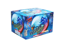 VG2006C Freedom Fighter