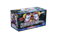 VG2008C Changeable Twins 