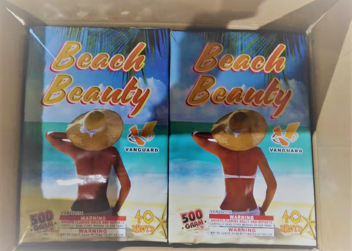 VGN202110 Beach Beauty 40 Shots Rectangle Shape Cake