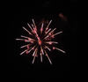 6" Display shell Brocade snow with red pistil, 6 inch display shells for all festivals,professional shells fireworks for sale
