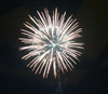 6“ Display Shell (specialty Shell) Brocade Crown To White Strobe W/white Strobe Pistil W/tail